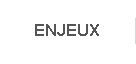 Enjeux